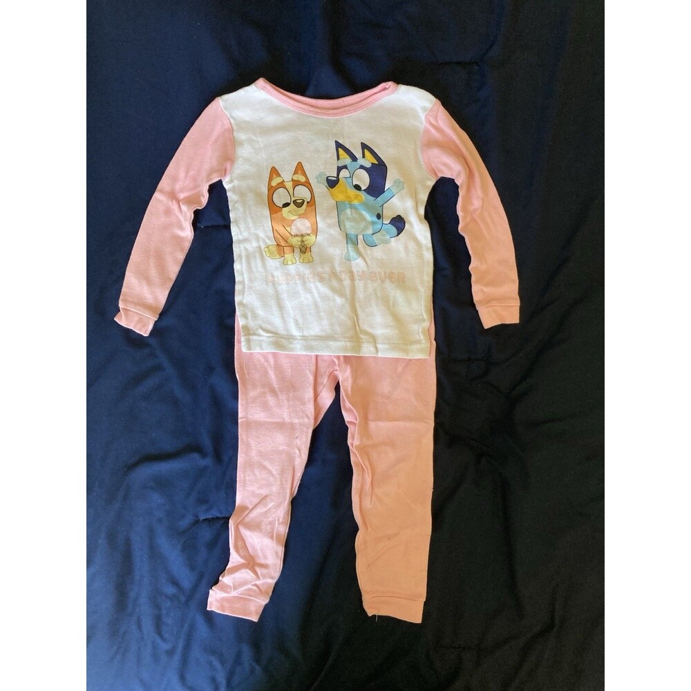 4T Bluey girl clothes - 2 piece outfit | Bluey and Bingo theme